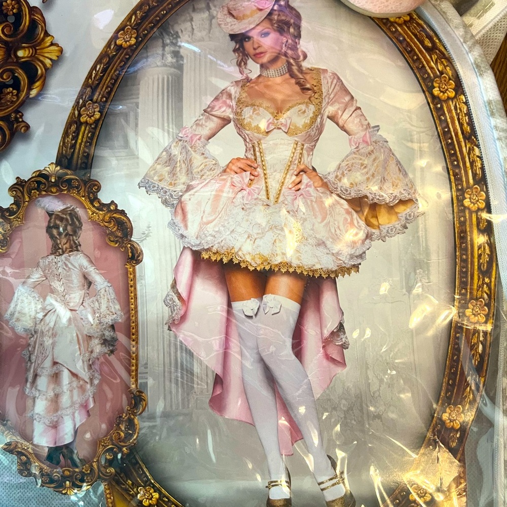 Ladies sz medium Marie Antoinette, Vixen of VerSailles Halloween costume